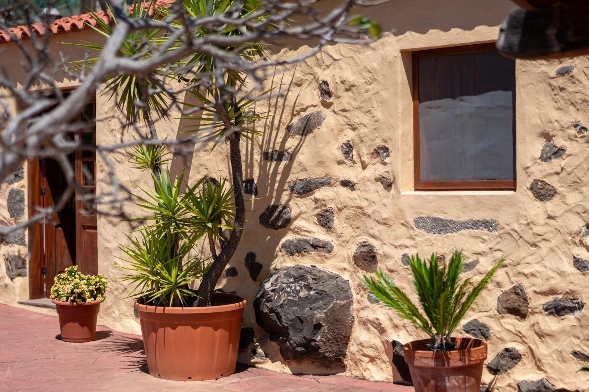 Casa Rural Tinamar Vega de San Mateo Esterno foto